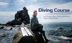 Freedive Course